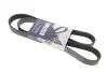 <strong>Ремінь генератора Fiat Doblo 1.3 JTD/MJET 04- HUTCHINSON 1310K6 (фото 1)</strong>