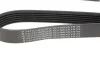 <strong>Ремінь генератора Fiat Doblo 1.3 JTD/MJET 04- HUTCHINSON 1310K6 (фото 2)</strong>