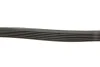 <strong>Ремінь генератора 6PK1368 Berlingo/Partner 1.6HDI (-AC) ch.10571> HUTCHINSON 1368K6 (фото 3)</strong>