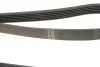 <strong>Ремінь генератора 6PK1368 Berlingo/Partner 1.6HDI (-AC) ch.10571> HUTCHINSON 1368K6 (фото 4)</strong>