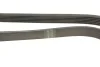 <strong>Ремінь генератора 6PK1413 Connect/Focus 1.8TDCI HUTCHINSON 1414K6 (фото 3)</strong>