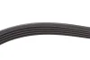 <strong>Ремінь генератора 5PK1435 Passat B5/Audi A4/A6 1.9TDI 98> HUTCHINSON 1432K5 (фото 3)</strong>