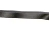 <strong>Ремінь генератора 6PK1513 Elantra/Santa Fe/Carens/Sportage 2.0-2.2 CRDI 01- HUTCHINSON 1515K6 (фото 4)</strong>