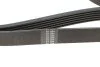 <strong>Ремінь генератора 6PK1560 BMW HUTCHINSON 1560K6 (фото 4)</strong>
