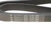 <strong>Ремінь генератора 6PK1560 BMW HUTCHINSON 1560K6 (фото 5)</strong>