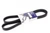 <strong>Ремінь генератора VW T5/T6 2.0 TSI 11-19 HUTCHINSON 1580K6 (фото 1)</strong>