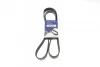 <strong>Ремінь генератора 6PK1590 Combo 1.7CDTi HUTCHINSON 1590K6 (фото 1)</strong>