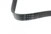 <strong>Ремінь генератора 6PK1590 Combo 1.7CDTi HUTCHINSON 1590K6 (фото 4)</strong>
