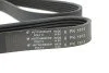 <strong>Ремінь генератора 6PK1613 Crafter 2.0TDI 11- HUTCHINSON 1613K6 (фото 3)</strong>
