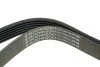 <strong>Ремінь генератора 6PK1660 Scudo/Berlingo/Golf/Passat HUTCHINSON 1658K6 (фото 3)</strong>