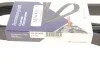 <strong>Ремінь генератора Audi 80/100/A6/A8 2.6/2.8 90-97 HUTCHINSON 1674K6 (фото 6)</strong>