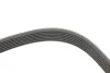 <strong>Ремінь генератора Opel Movano/Renault Master 2.3 dCi 10- HUTCHINSON 1685K7 (фото 3)</strong>