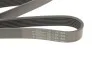 <strong>Ремінь генератора Opel Movano/Renault Master 2.3 dCi 10- HUTCHINSON 1685K7 (фото 4)</strong>