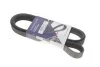 <strong>Ремінь генератора Renault Megane II 2.0 dCi 05-09 (7PK1705) HUTCHINSON 1705K7 (фото 1)</strong>