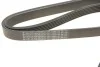 <strong>Ремінь генератора 6PK1708 Jumper 1.9TD 94>02 ALT, PS, AC HUTCHINSON 1710K6 (фото 4)</strong>