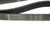 <strong>Ремінь генератора Opel Astra/Omega/Vectra 1.6-2.2 86-03 HUTCHINSON 1725K6 (фото 2)</strong>