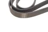 <strong>Ремінь генератора 6PK1740 Jumpy 1.9D/2.0HDI -07 (+AC) HUTCHINSON 1740K6 (фото 2)</strong>
