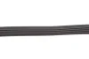 <strong>Ремінь генератора 5PK1750 Kangoo 1.4/1.6i HUTCHINSON 1750K5 (фото 3)</strong>