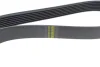 <strong>Полікліновий ремінь Poly V® (1770 K 7) Hutchinson HUTCHINSON 1770K7 (фото 3)</strong>