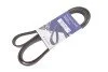 <strong>Ремінь генератора 5PK1815 BMW/Hyundai/KIA HUTCHINSON 1815K5 (фото 2)</strong>