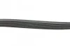 <strong>Ремінь генератора 6PK1818 Doblo 1.9JTD (PS,AC) HUTCHINSON 1820K6 (фото 2)</strong>