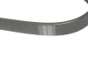 <strong>Ремінь генератора Audi 80/A6/A8 2.6/2.8 91-97/MB W202 M111 95-01 HUTCHINSON 1863K6 (фото 3)</strong>