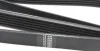<strong>Ремінь генератора 6PK2030 W201 OM602/Sprinter OM601 (PS) HUTCHINSON 2032K6 (фото 3)</strong>