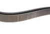 <strong>Ремінь генератора 7PK2035 Sprinter/Vito (639) 3.0CDI 03- HUTCHINSON 2035K7 (фото 3)</strong>