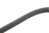 <strong>Ремінь генератора 6PK2160 Vito OM611 (+AC) HUTCHINSON 2160K6 (фото 3)</strong>