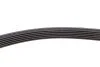 <strong>Ремінь генератора Ford Transit 2.3 06-14 HUTCHINSON 2205K6 (фото 3)</strong>