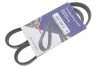 <strong>Ремінь генератора Ducato/Boxer 2.2 MJTD/HDi 06- HUTCHINSON 922SK4 (фото 2)</strong>