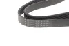 <strong>Ремінь генератора 6PK923 Golf III/Passat/T4/Caddy 1.9TD HUTCHINSON 923K6 (фото 4)</strong>