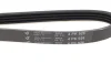 <strong>Ремінь генератора Renault Kangoo 1.2 97- HUTCHINSON 926K4 (фото 4)</strong>