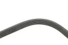 <strong>Ремінь генератора Ford Connect 1.5/1.6 TDCI 13- HUTCHINSON 963K6 (фото 2)</strong>