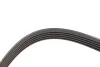 <strong>Полікліновий ремінь Poly V® BMW 7 (94-01)/Citroen Break (85-95)/Daewoo/Fiat Tempra Hutchinson HUTCHINSON 970K5 (фото 2)</strong>