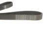 <strong>Ремінь генератора Berlingo/Partner 1.6 HDi 05-/Ford Connect/Courier 1.5/1.6 TDCi 13- HUTCHINSON 975K6 (фото 2)</strong>
