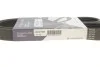<strong>Ремінь генератора Berlingo/Partner 1.6 HDi 05-/Ford Connect/Courier 1.5/1.6 TDCi 13- HUTCHINSON 975K6 (фото 5)</strong>