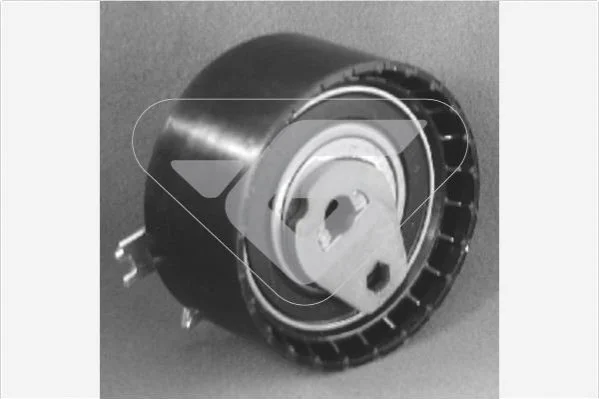 <strong>Натяжний ролик Renault Clio, Megane, Logan, Kangoo 1.4; 1.6 16V Hutchinson HUTCHINSON HTG151 (фото 1)</strong>