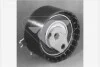 Натяжний ролик Renault Clio, Megane, Logan, Kangoo 1.4; 1.6 16V Hutchinson для Renault, Dacia, Nissan, Lada HUTCHINSON HTG151 фото товару