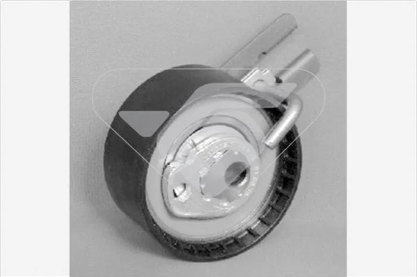 <strong>Натяжний ролик Citroen Berlingo 1.6 (08-), Jumpy (07-) Hutchinson HUTCHINSON HTG153 (фото 1)</strong>