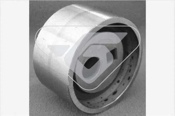 <strong>Натяжний ролик Citroen Jumper/Peugeot 306, 406 (95-04) Hutchinson HUTCHINSON HTG27 (фото 1)</strong>