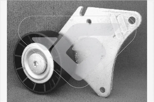 <strong>Ролик приводного ременя паразитний Citroen Berlingo (96-08) Hutchinson HUTCHINSON T0203 (фото 1)</strong>