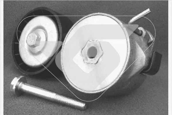 <strong>Ролик натяжний 1,4i Fiat Fiorino (08-13), Doblo (05-) Hutchinson HUTCHINSON T0206 (фото 1)</strong>