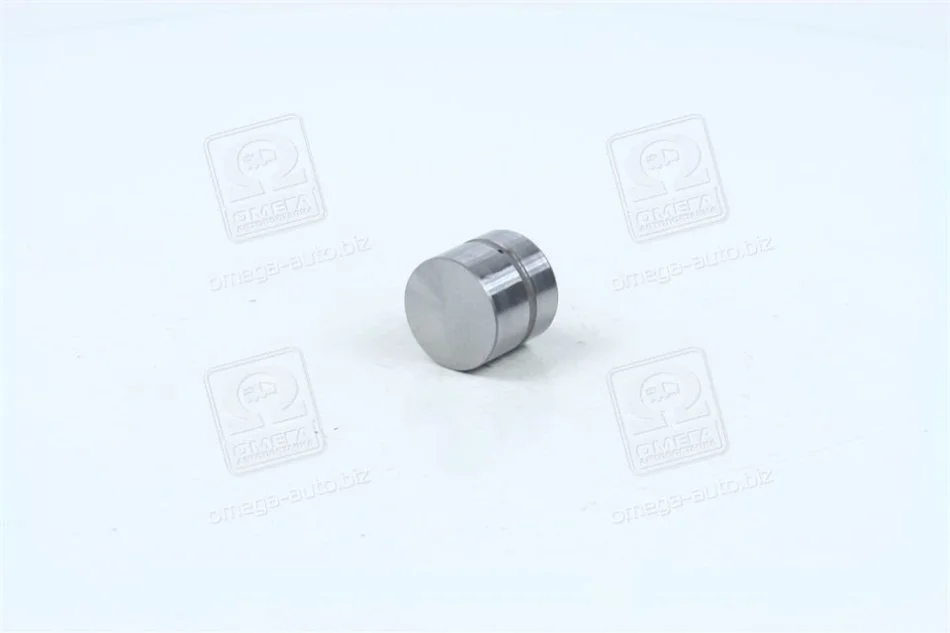 <strong>Гідрокомпенсатор Hyundai/Kia/Mobis 22231-37100 (фото 1)</strong>