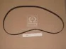 <strong>Ремінь грм (вир-во Mobis) Hyundai/Kia/Mobis 2431237400 (фото 1)</strong>