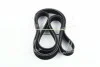 <strong>Ремінь генератора Hyundai/Kia/Mobis 25212-2G700 (фото 4)</strong>