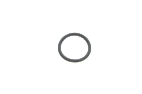 Кільце ущільнювач для Audi, Volkswagen, Skoda, Seat Hyundai/Kia/Mobis 25462-21010 фото товару