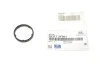 <strong>Уплотнительное колечко Hyundai/Kia/Mobis 263172F001 (фото 2)</strong>
