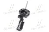 <strong>Амортизатор підвіски передній Mobis Hyundai/Kia/Mobis 54650-C1050 (фото 2)</strong>