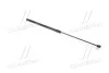 <strong>Амортизатор Hyundai/Kia/Mobis 811613L001 (фото 3)</strong>